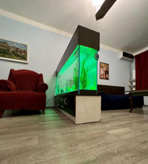 Lucky house